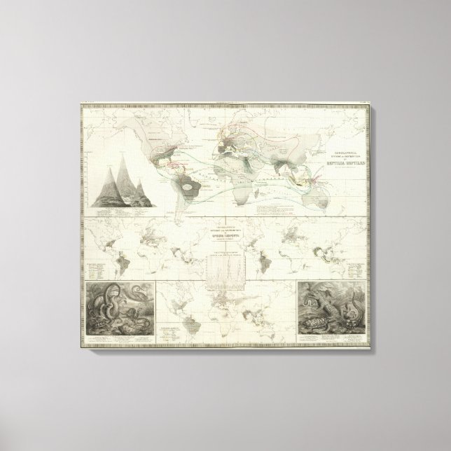 Reptilia, Ophidia Canvastryck (Framsida)