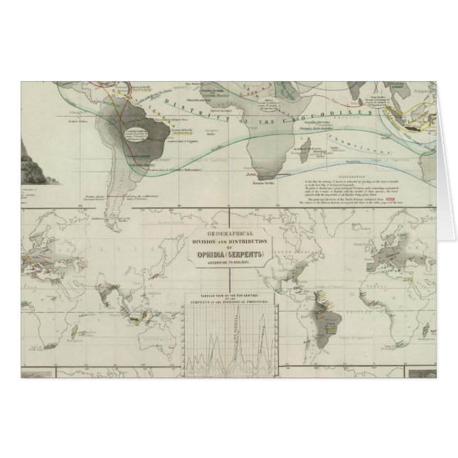 Reptilia, Ophidia Hälsningskort (Framsidan Horizontal)
