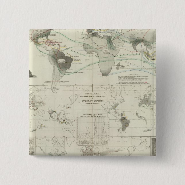 Reptilia, Ophidia Knapp (Framsida)