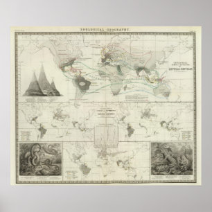 Reptilia Ophidia Poster