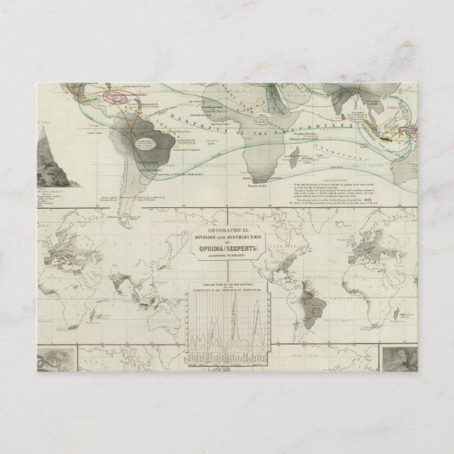 Reptilia, Ophidia Vykort (Framsida)
