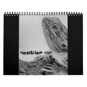 Reptilkalender 2021 kalender