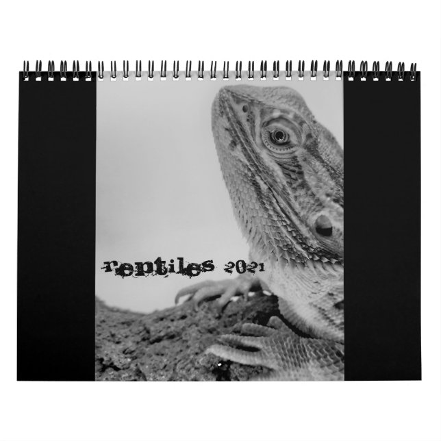 Reptilkalender 2021 kalender (Omslag)