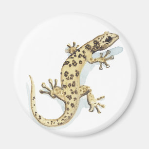 Reptilmagnet Magnet