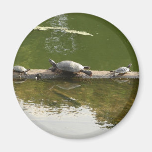 reptilmerchandise magnet