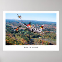 Republic P-47 Thunderbolt