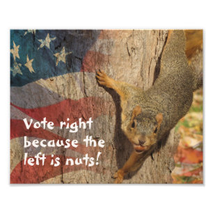 Republican Vote Höger Squirrel Fototryck