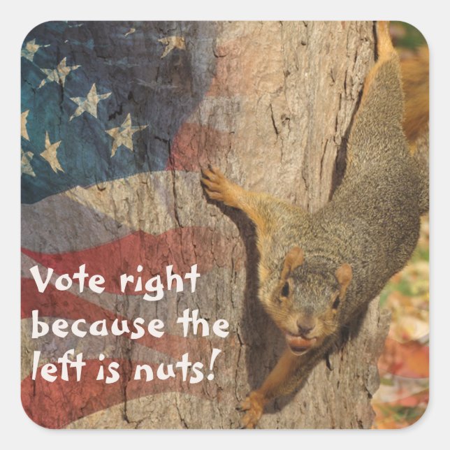 Republican Vote Höger Squirrel Fyrkantigt Klistermärke (Framsida)