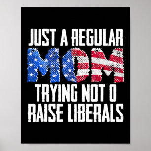 Republikan En Vanlig Mamma Försöker Inte Uppfostra Poster