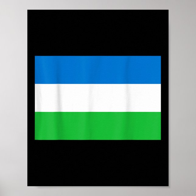 Republiken Molossia Flagga Poster (Framsidan)