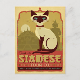 Res med Siamese Tour Co. Vykort