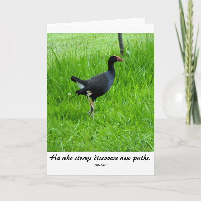 Resa citationstecknet av Nils Kjær Kort (Framsida)