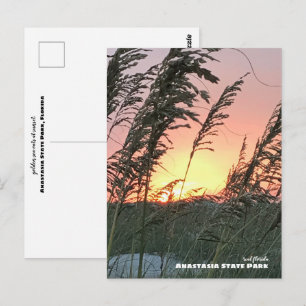Resa Florida - Anastasia Sea Oat Sunset Vykort