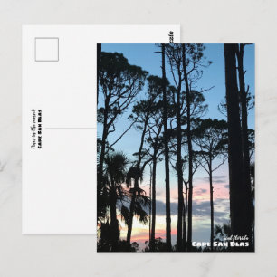 Resa Florida - Cape San Blas Pines Solnedgång Vykort