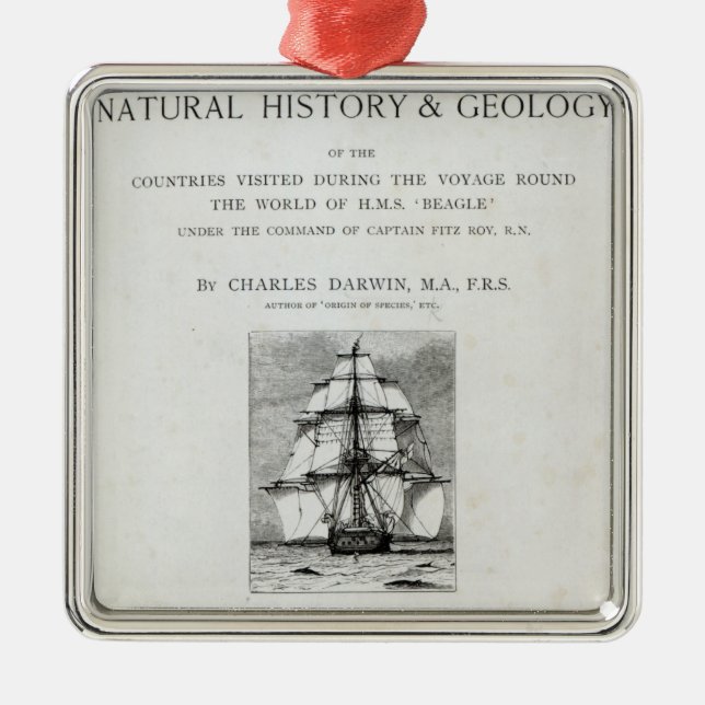 Resan av beaglen julgransprydnad metall (Framsidan)