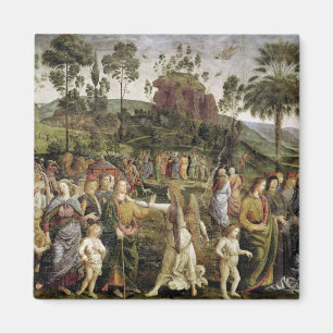 Resan av Moses, c.1481-83 Magnet