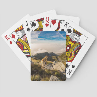 Resan Casinokort