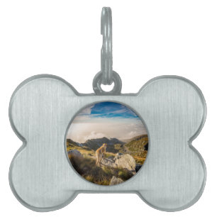 Resan ID-bricka Husdjur