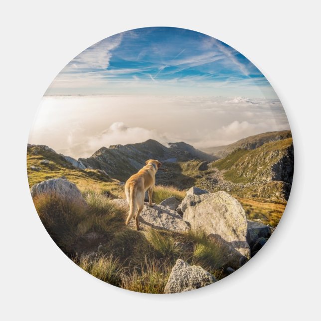 Resan Magnet (Framsidan)