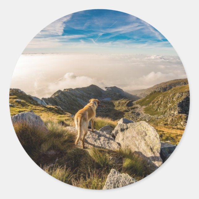 Resan Runt Klistermärke (Framsida)