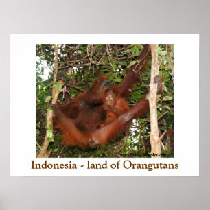 Resande av Orangutans land Poster