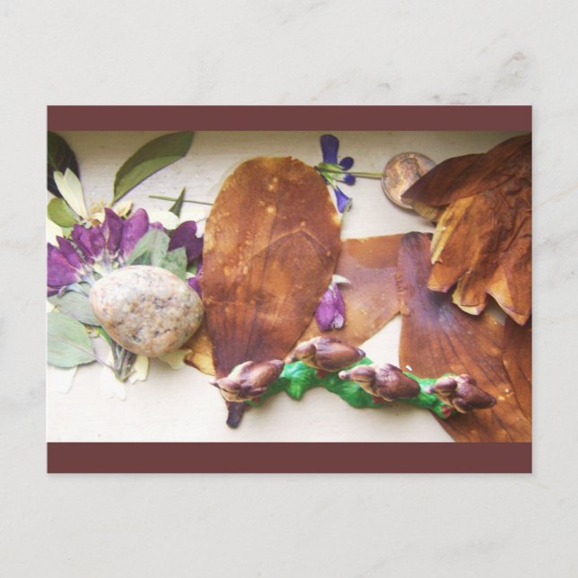 Resande av vykort för Ankor (Framsida)