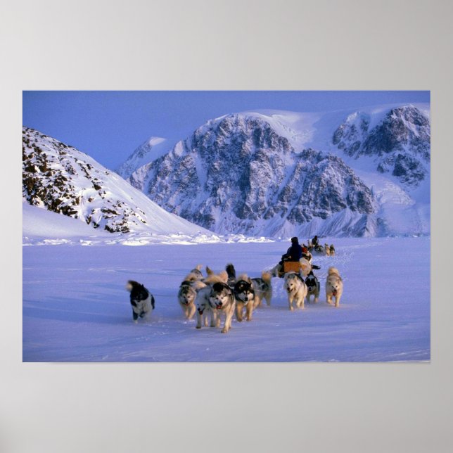 Resande, Ellesmere Island Poster (Framsidan)