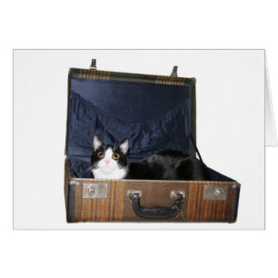 Resande kattkort hälsningskort
