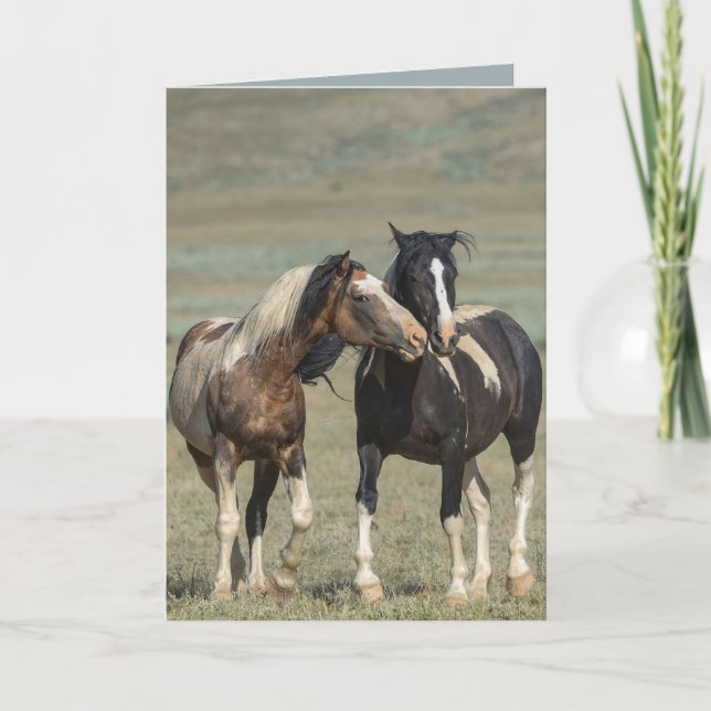 Resandes kurser Hans Mare Vild Horse Greeting Card Tack Kort (Framsida)