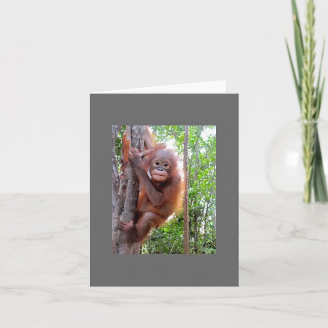 Rescued Baby Orangutan Uttuh Kort (Framsida)