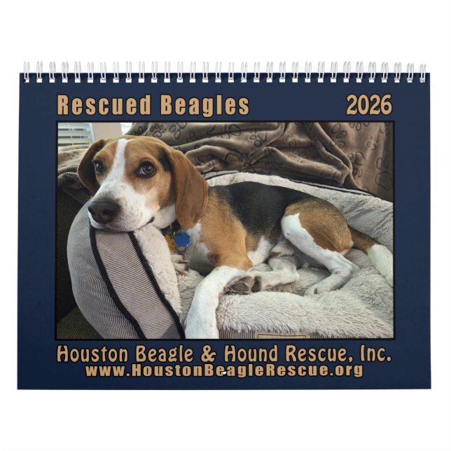 Rescued Beagles 2026 Wall Calendar Kalender (Omslag)