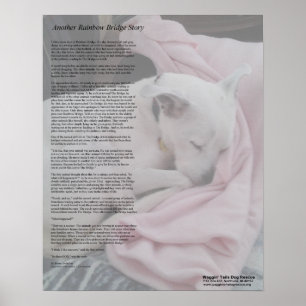 Rescuers regnbågsbrygga poster