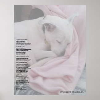 Rescuers regnbågsbrygga (redigerad) poster