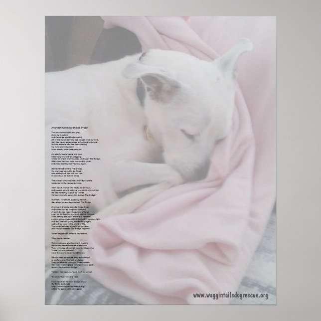 Rescuers regnbågsbrygga (redigerad) poster (Framsidan)