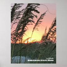 Rese | Florida - Anastasia Sea Oat Sunset