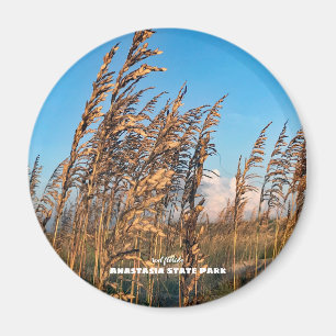 Rese Florida - Anastasia St Park Sea Oats Magnet