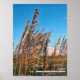 Rese | Florida - Anastasia State Park Sea Oats Poster