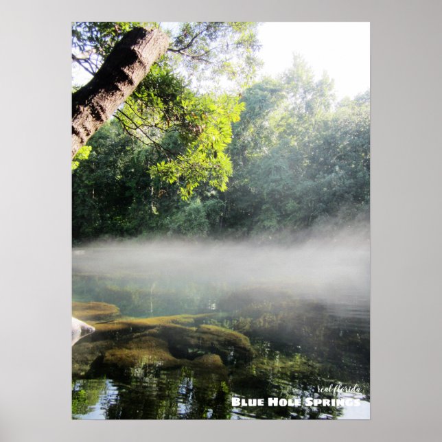 Rese | Florida - Blue Hål Vår Foggy God morgon Poster (Framsidan)