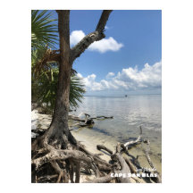 Rese | Florida - Cape San Blas Beach