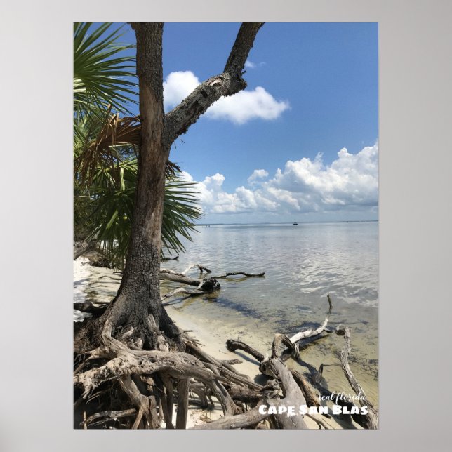 Rese | Florida - Cape San Blas Beach Poster (Framsidan)