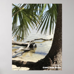 Rese | Florida - Cape San Blas Driftwood Poster