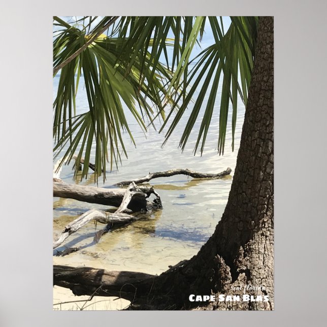 Rese | Florida - Cape San Blas Driftwood Poster (Framsidan)