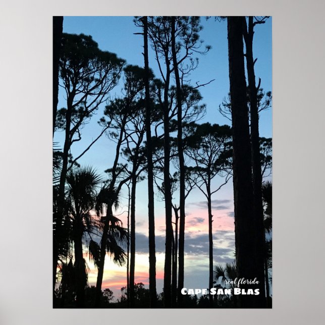 Rese | Florida - Cape San Blas Sunset Gräs Poster (Framsidan)