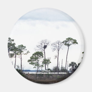 Rese   Florida - Eagles Nest Magnet
