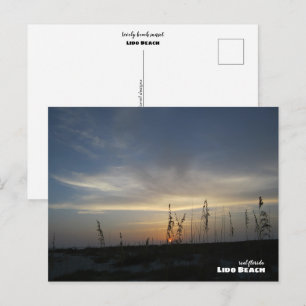 Rese Florida - Lido Beach Sunset Vykort