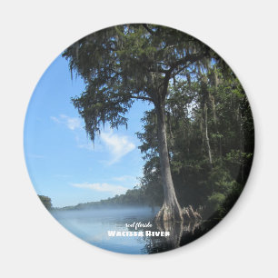 Rese   Florida - Wacissa River Cypress Magnet