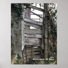 Rese | Italien - Monterosso al Mare Old Door Poster