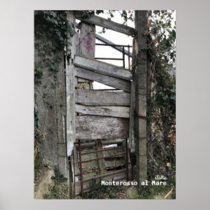 Rese   Italien - Monterosso al Mare Old Door Poster