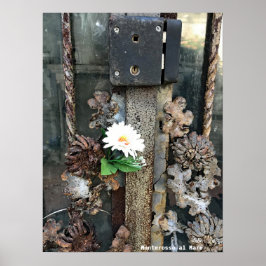 Rese | Italien - Monterosso al Mare old lock Poster