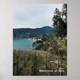 Rese | Italien - Monterosso Winter Vineyard Poster